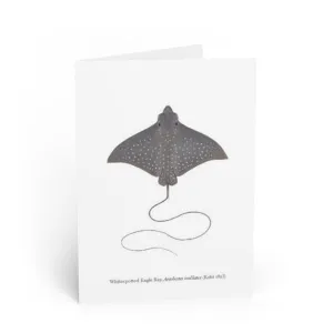 Whitespotted Eagle Ray Greeting Card